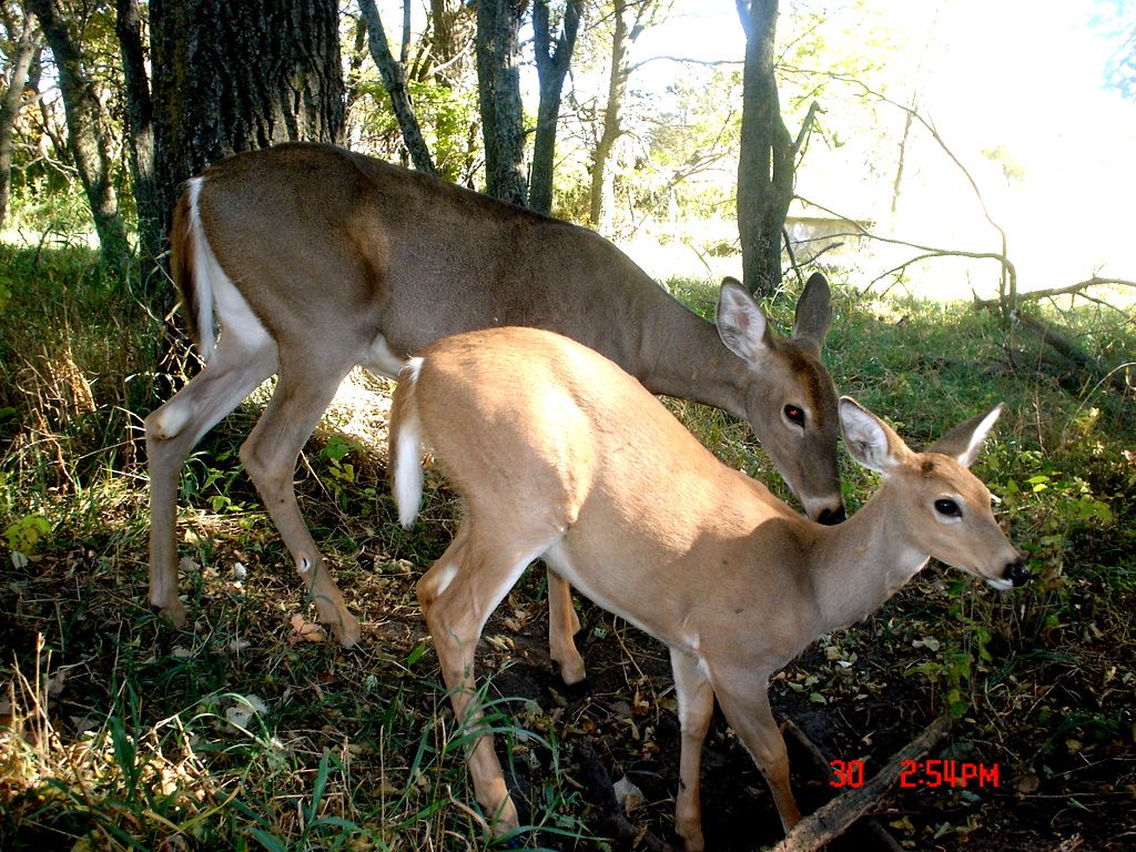 Terrys09-30-201120.jpg