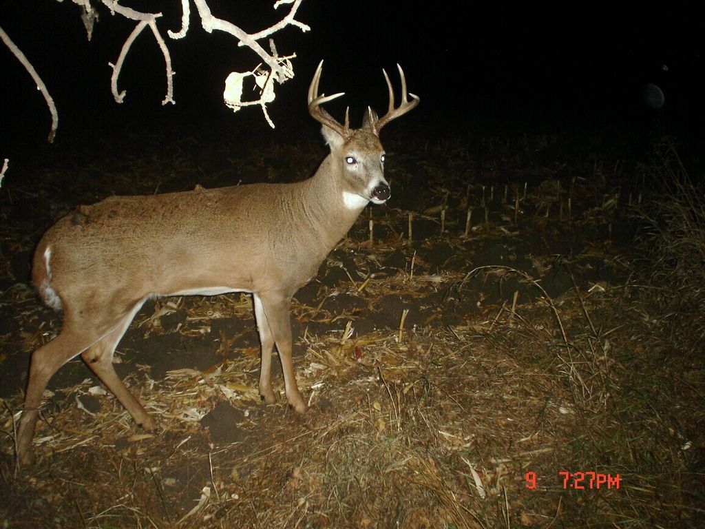 TerrysEAST11-12-20112.jpg
