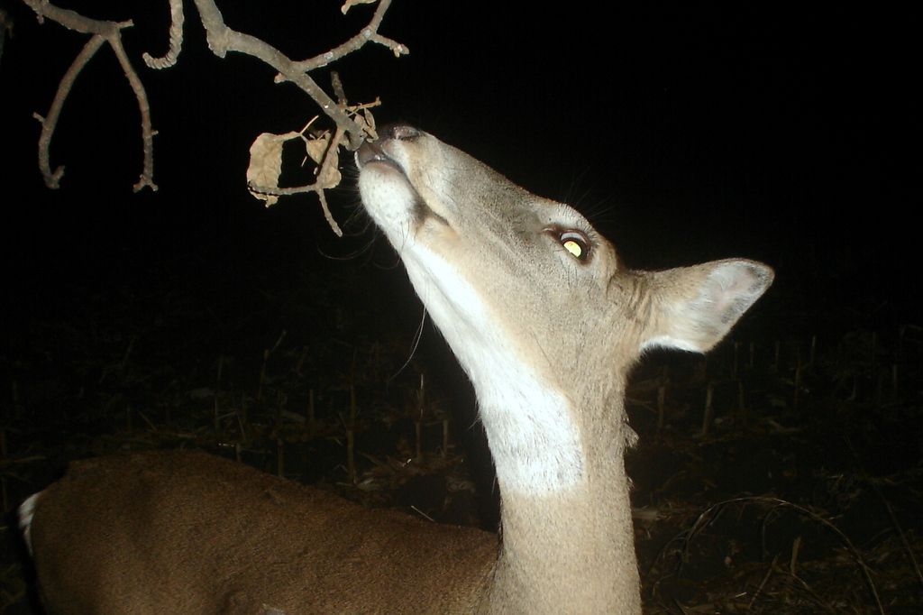 TerrysEAST11-12-20113.jpg