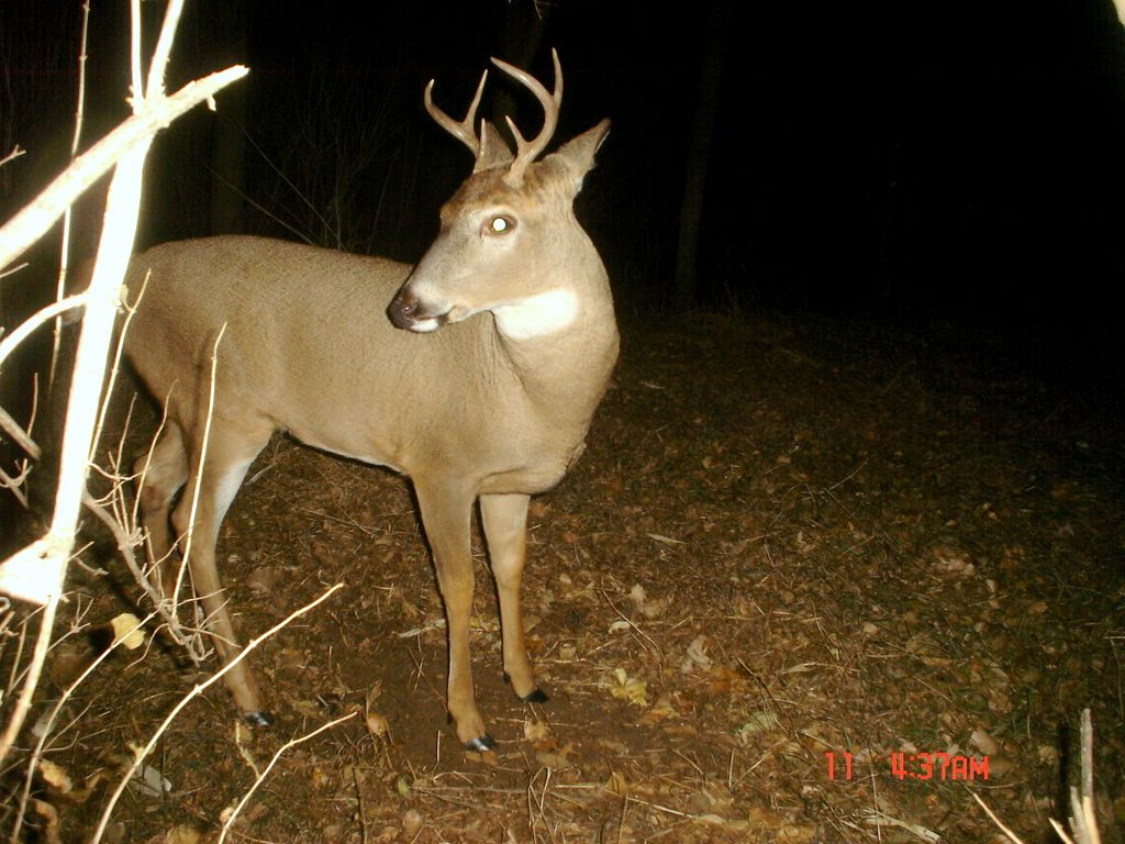 TerrysNE11-12-20118.jpg
