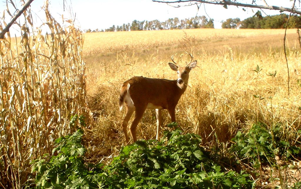 TerrysSW09-30-201159.jpg
