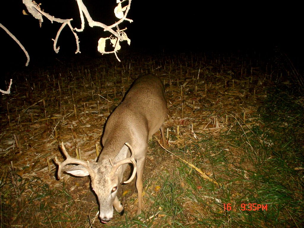 Terryseast10-21-20116.jpg