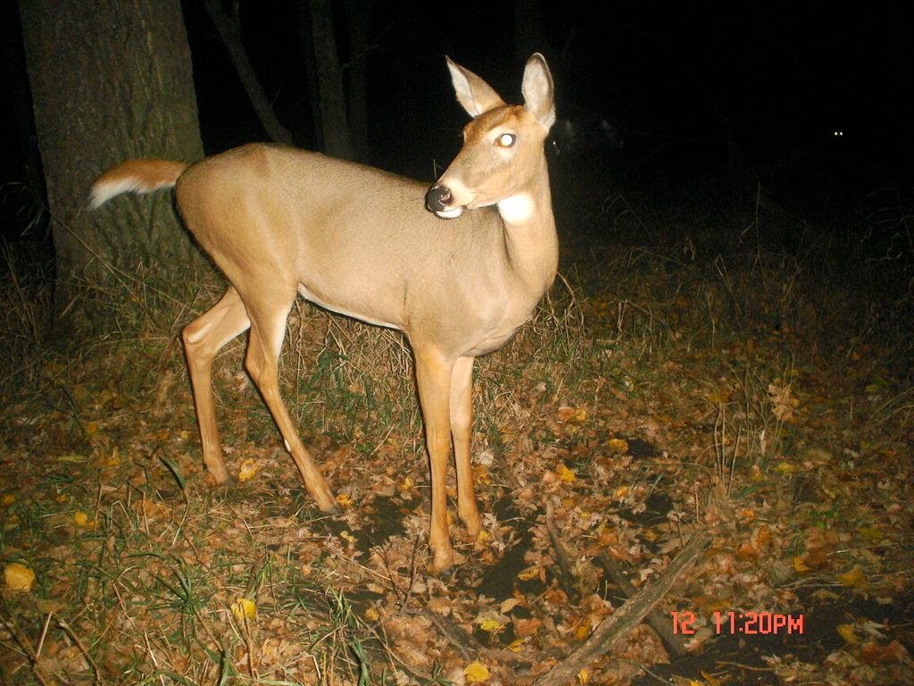 Terryslick10-16-201113.jpg