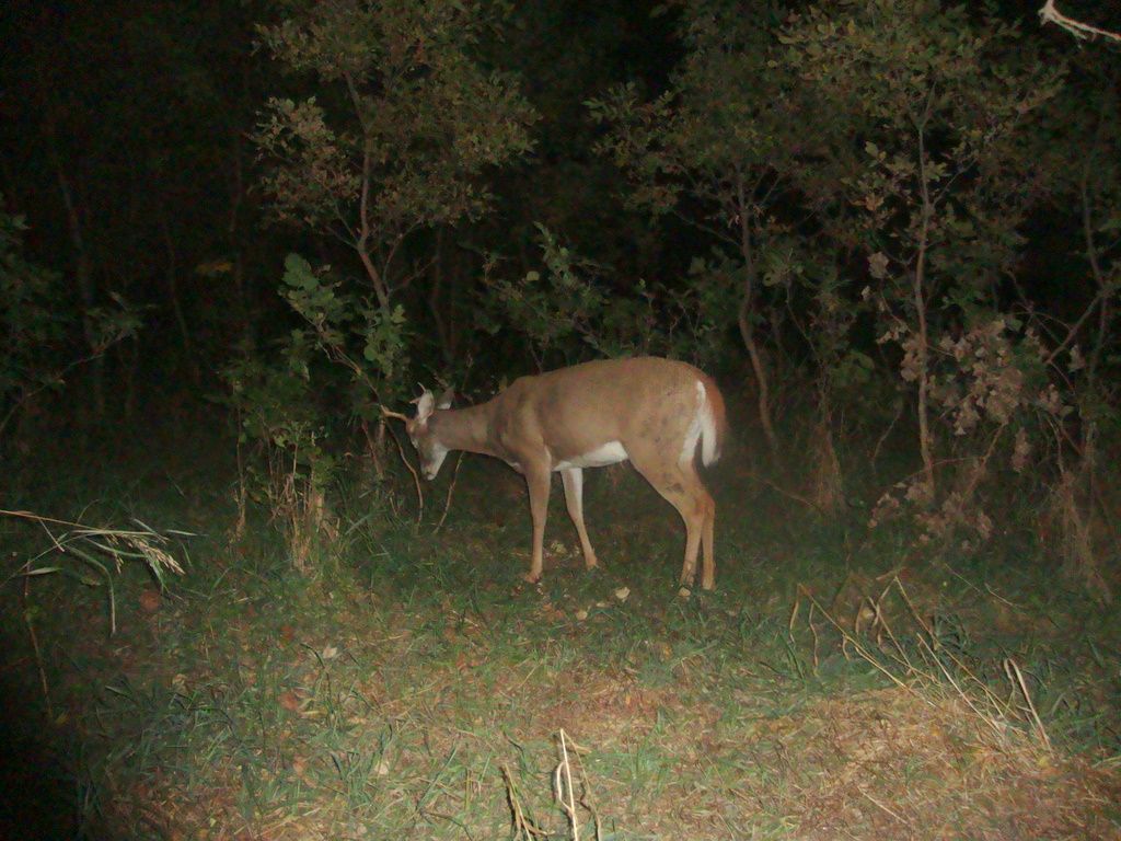 Terryswestscrape09-17-201121.jpg