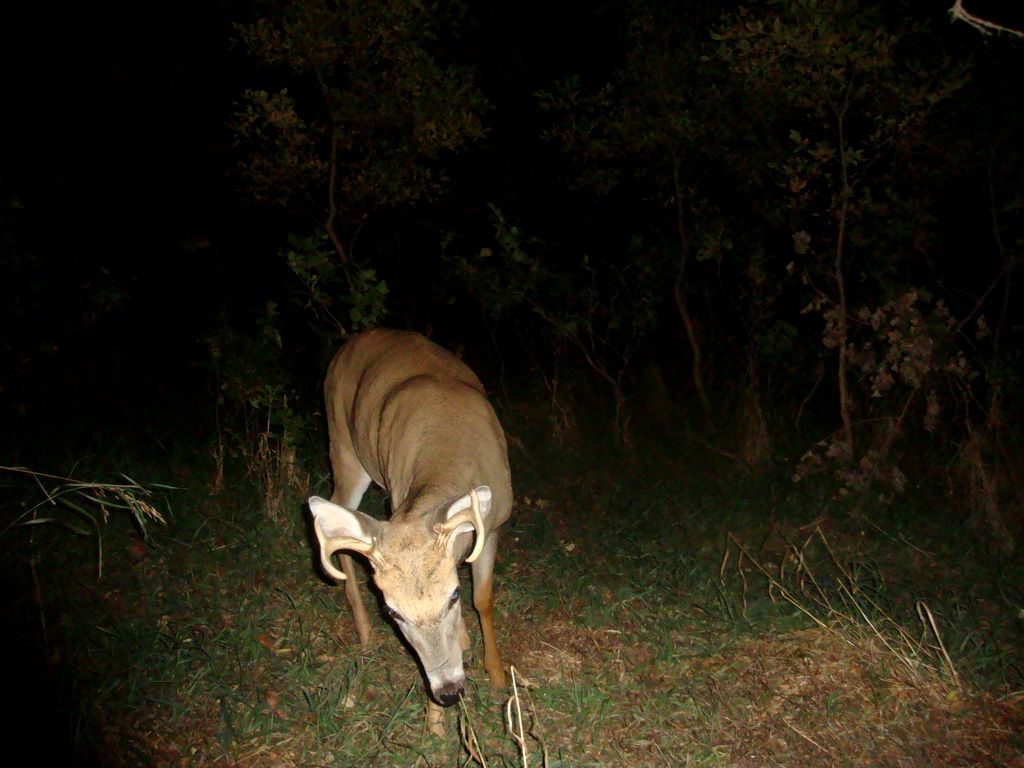 Terryswestscrape09-17-201130.jpg
