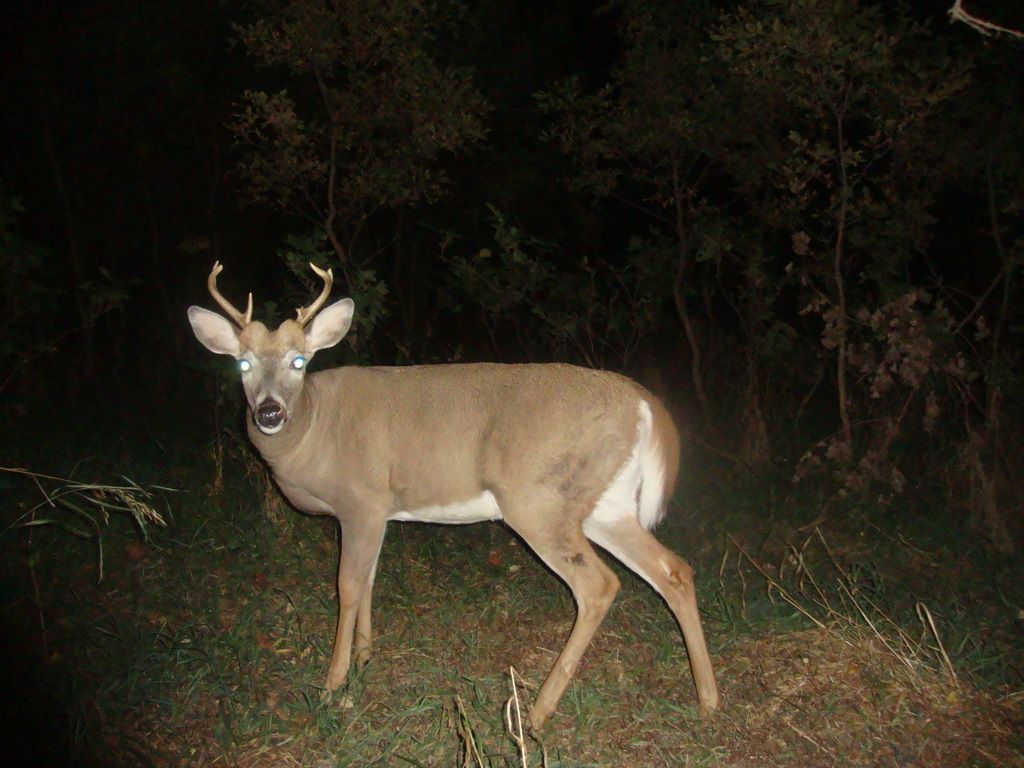 Terryswestscrape09-17-201152.jpg