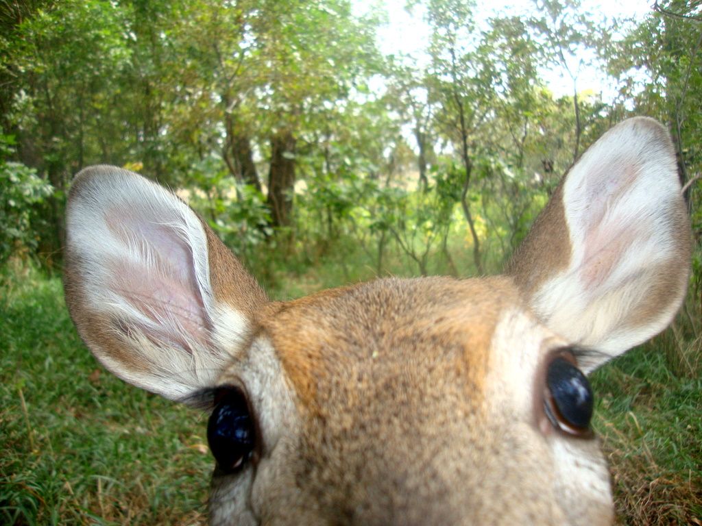 Terryswestscrape09-17-201190.jpg