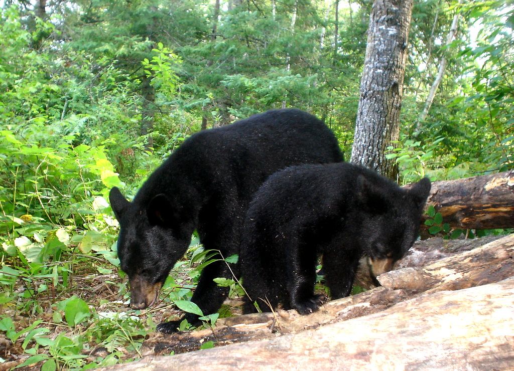 Topofhill08-20-201134.jpg
