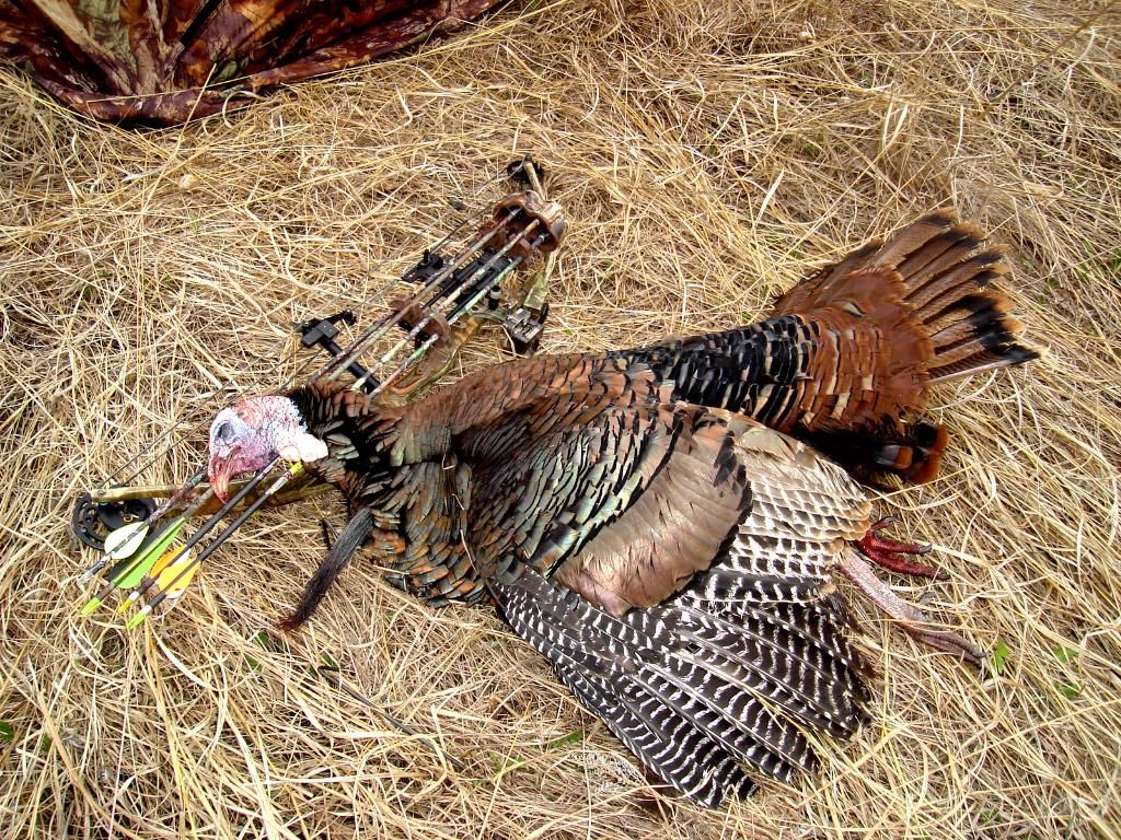 TurkeyhuntpicsApril25201126.jpg