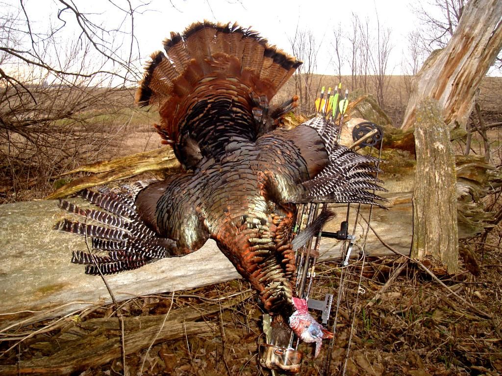 TurkeyhuntpicsApril25201142.jpg