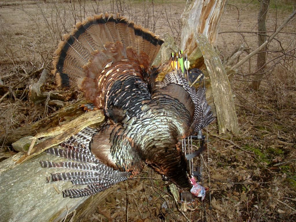 TurkeyhuntpicsApril25201151.jpg