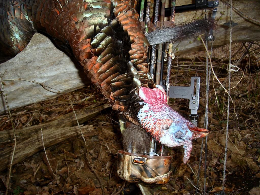 TurkeyhuntpicsApril25201152.jpg
