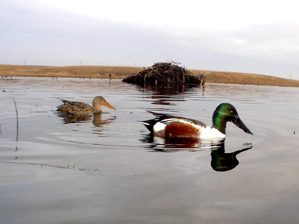 Stuarts03-26-201211.jpg