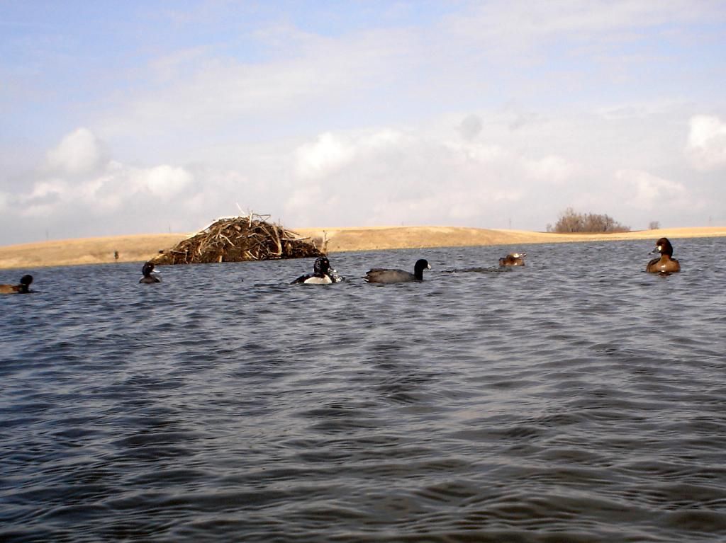 StuartsMid03-21-201217.jpg