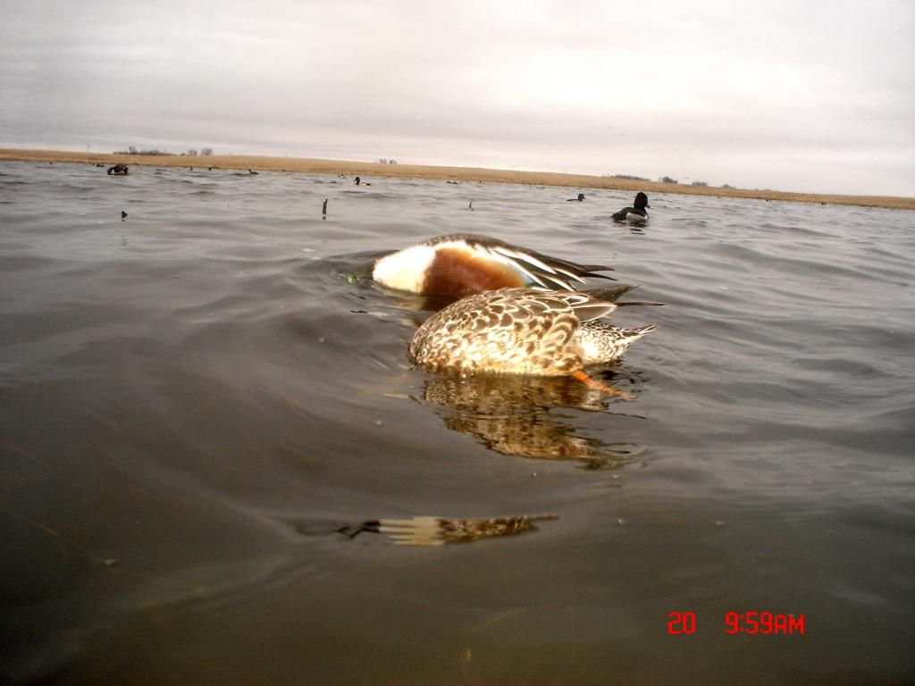 Stuartseast03-20-201215.jpg