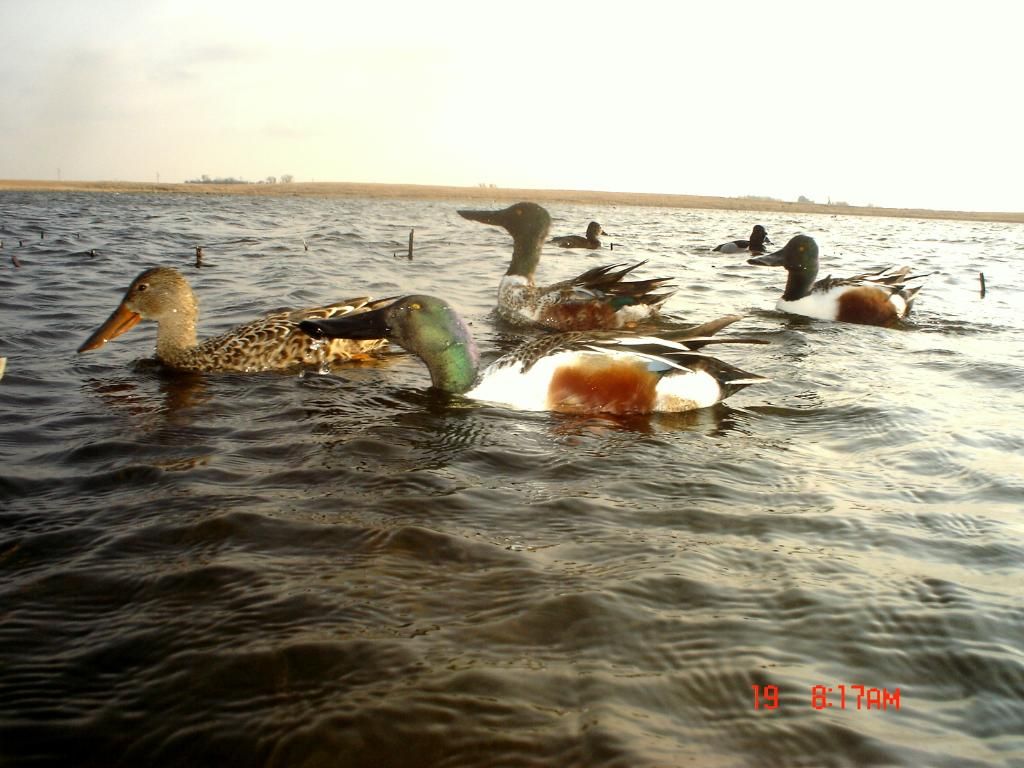 Stuartseast03-20-201219.jpg