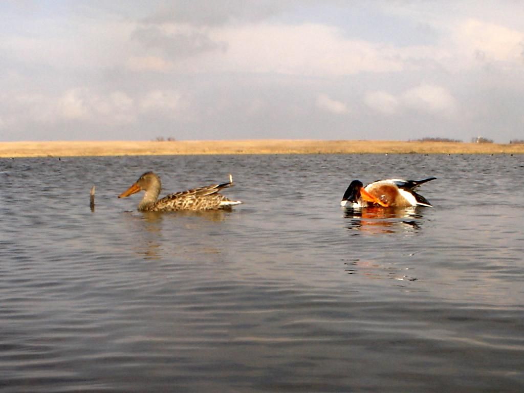 Stuartseast03-20-20124.jpg