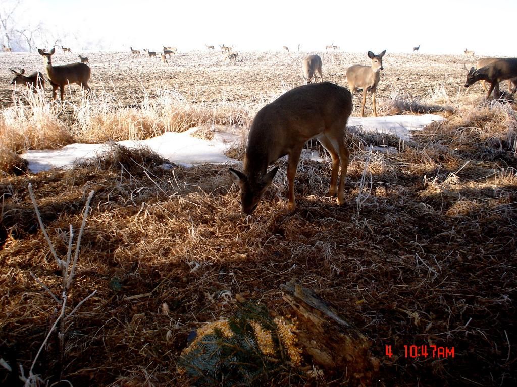 Beverlys02-11-201214.jpg
