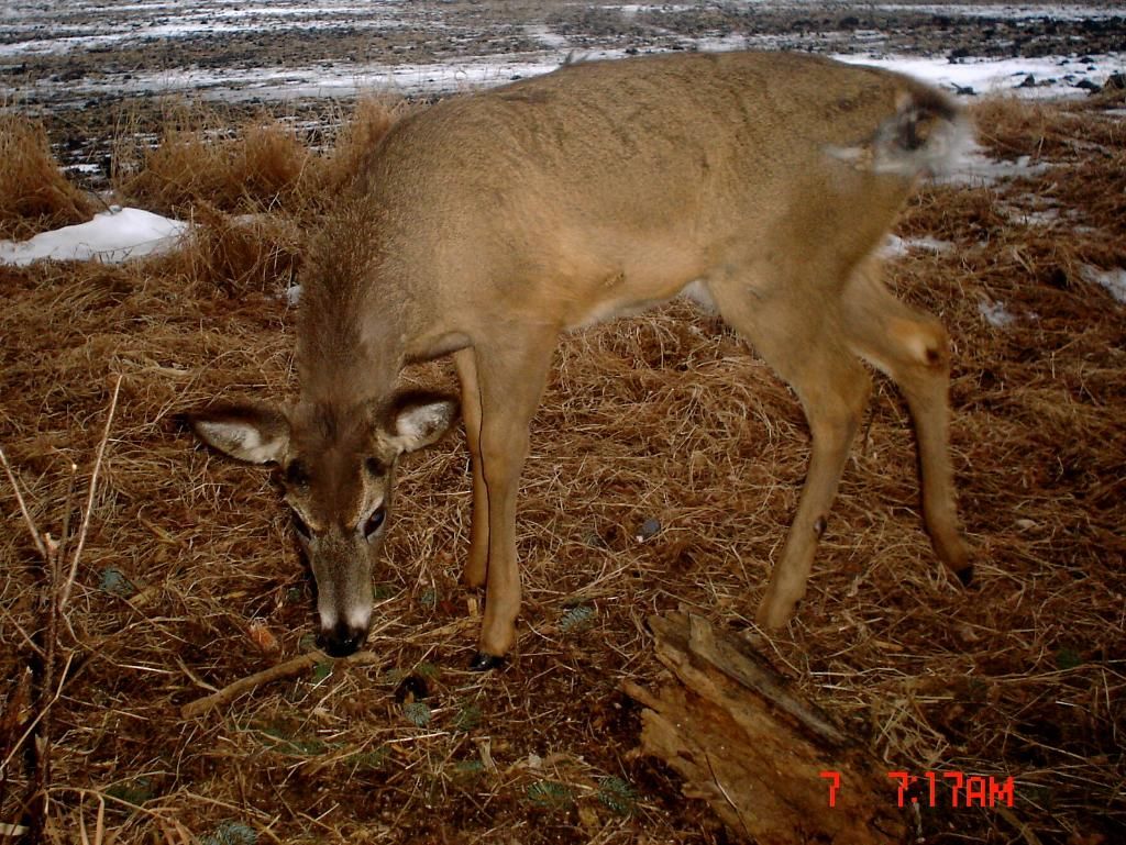 BeverlysS03-11-2012153.jpg