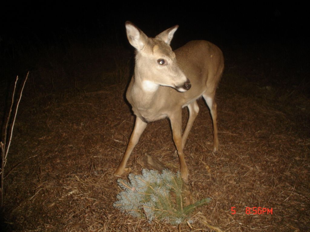 Beverlyswest01-14-20125.jpg