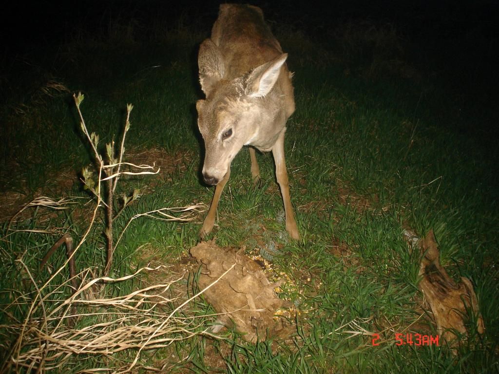 Beverlyswest04-07-20125.jpg