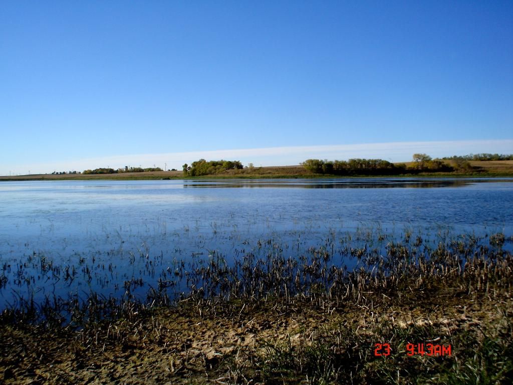 DSC08581-001.jpg