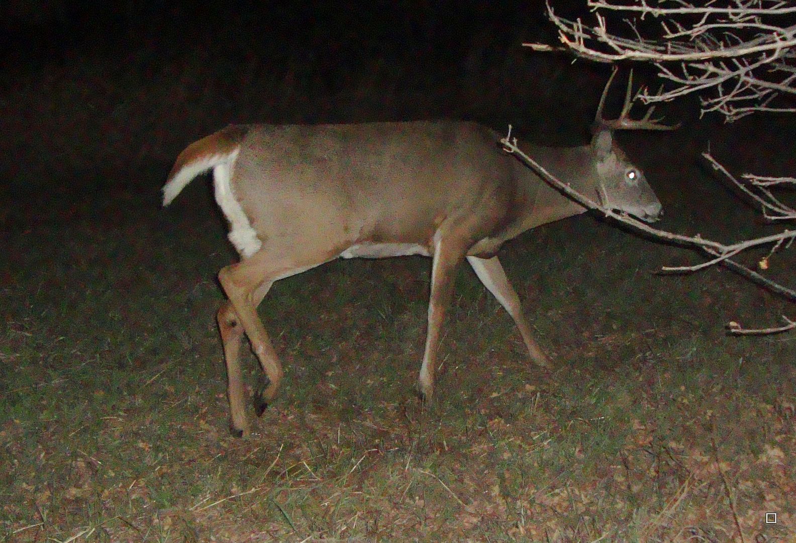 Eldysw23010-31-201222.jpg