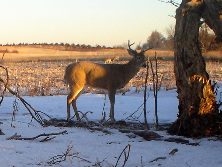 Folkerts02-11-201212.jpg