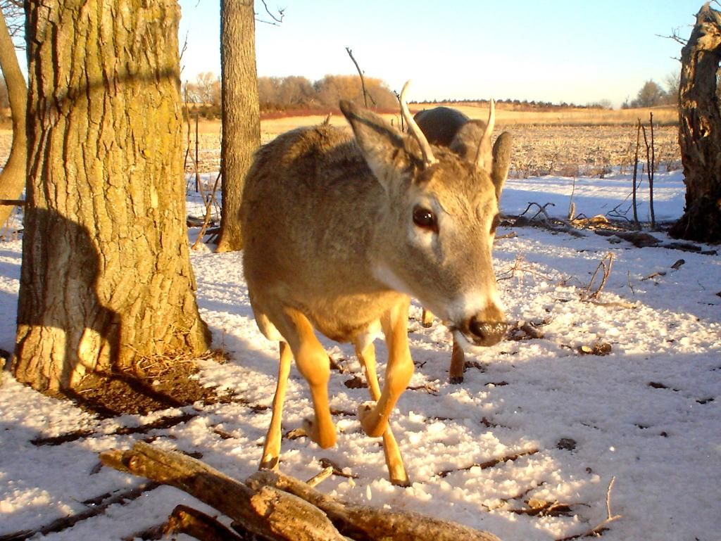 Folkerts02-11-201228.jpg
