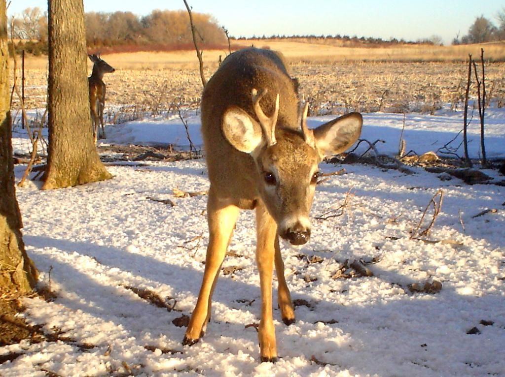 Folkerts02-11-201239.jpg