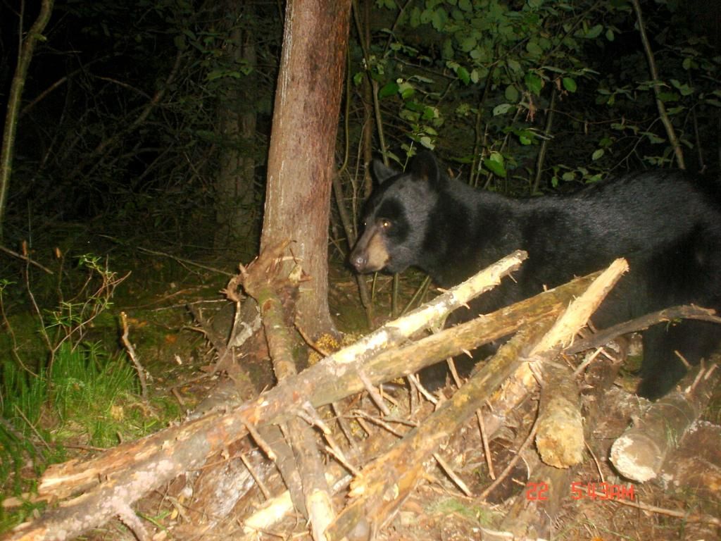 Halfwaybait08-23-2012161.jpg