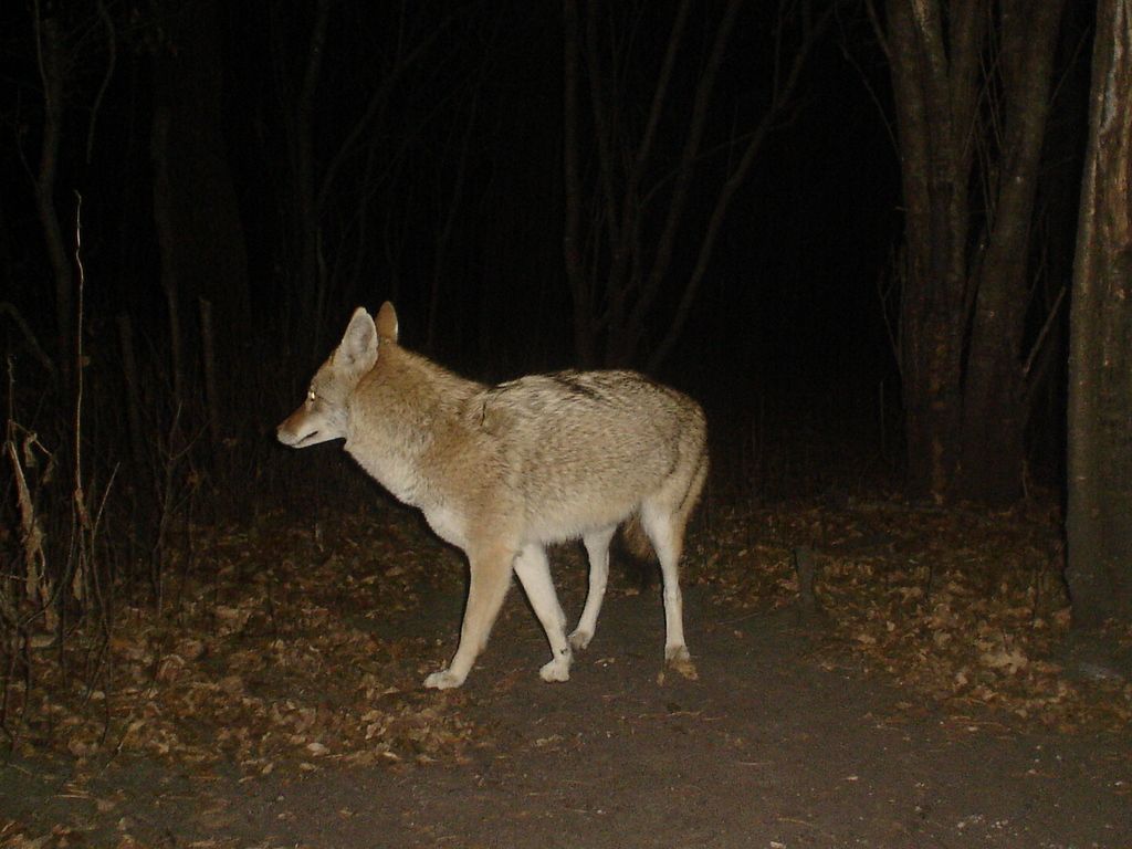 Hole01-14-20121.jpg