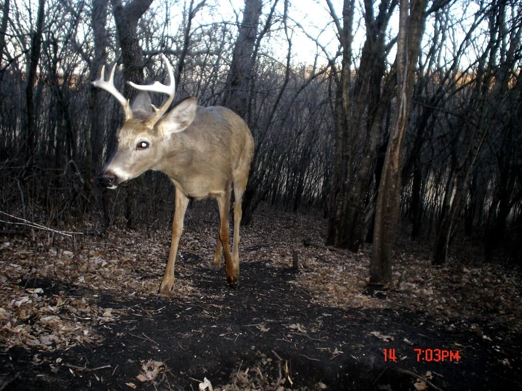 Hole03-17-2012100.jpg