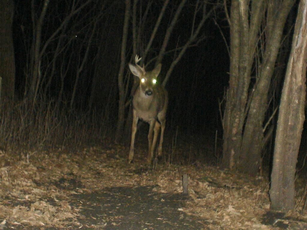 Hole03-17-2012110.jpg
