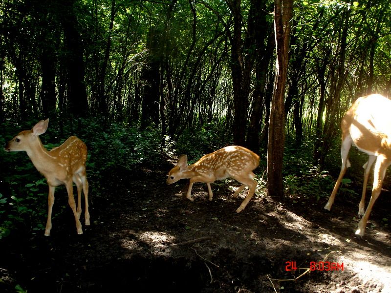 Hole06-30-201219.jpg
