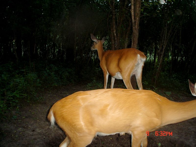 Hole0610-201224.jpg