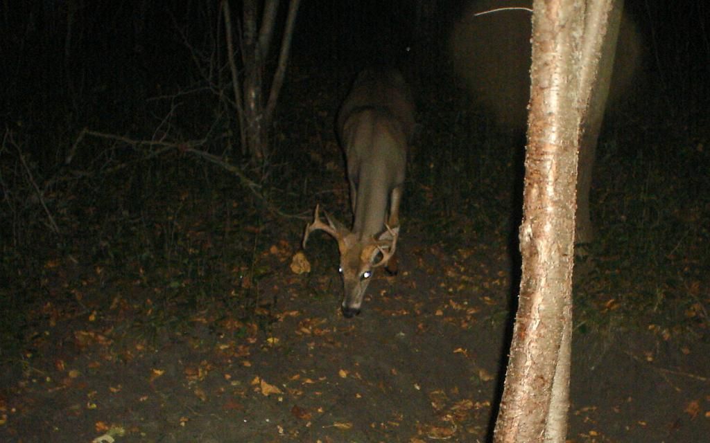 Hole09-12-2012649.jpg