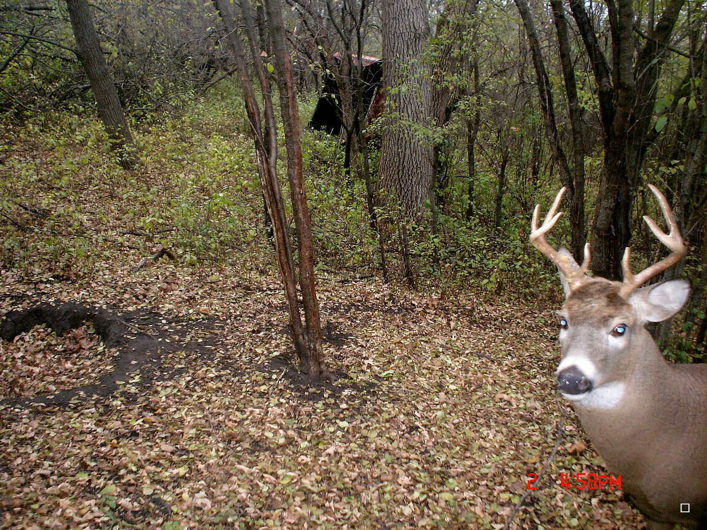 Hole11-10-201275.jpg