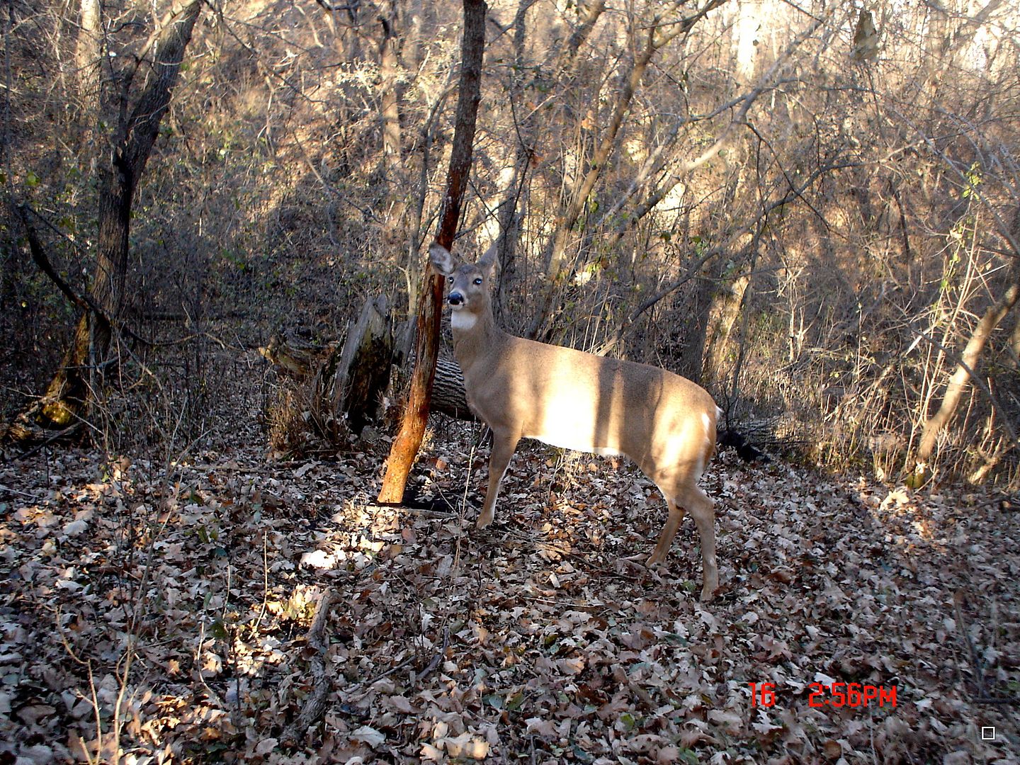 Holestand11-16-201243.jpg