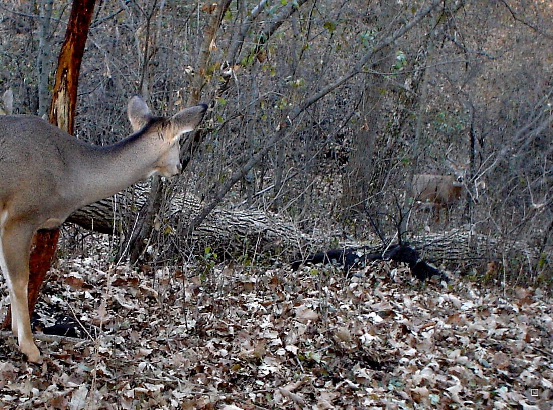 Holestand11-16-201272.jpg
