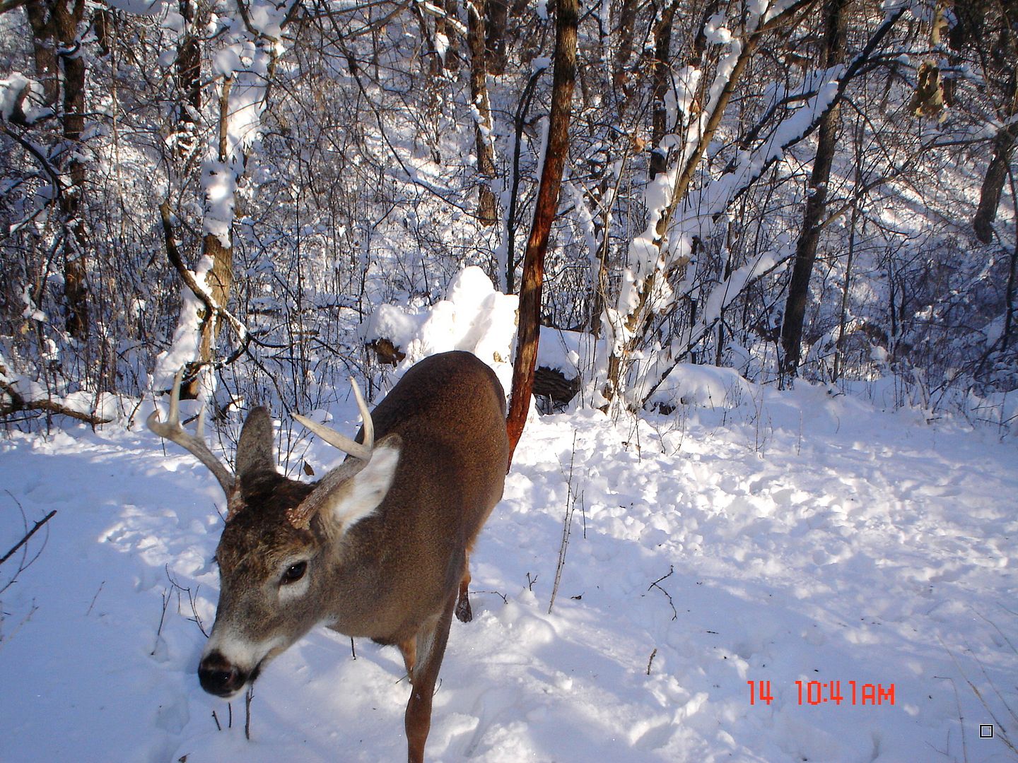 Holestand12-21-2012127.jpg