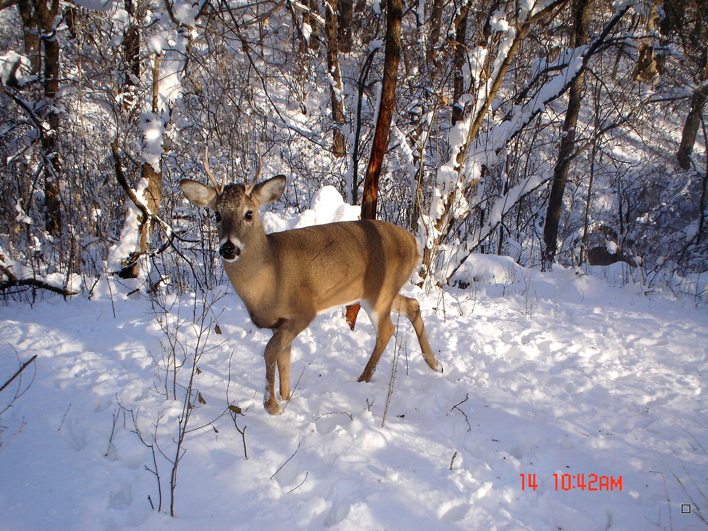 Holestand12-21-2012128.jpg