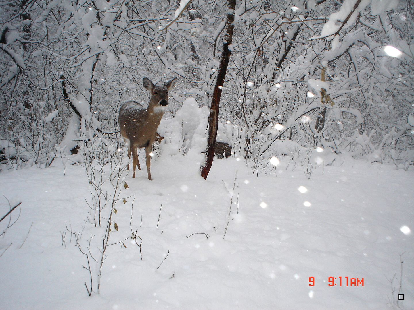 Holestand12-21-201227.jpg