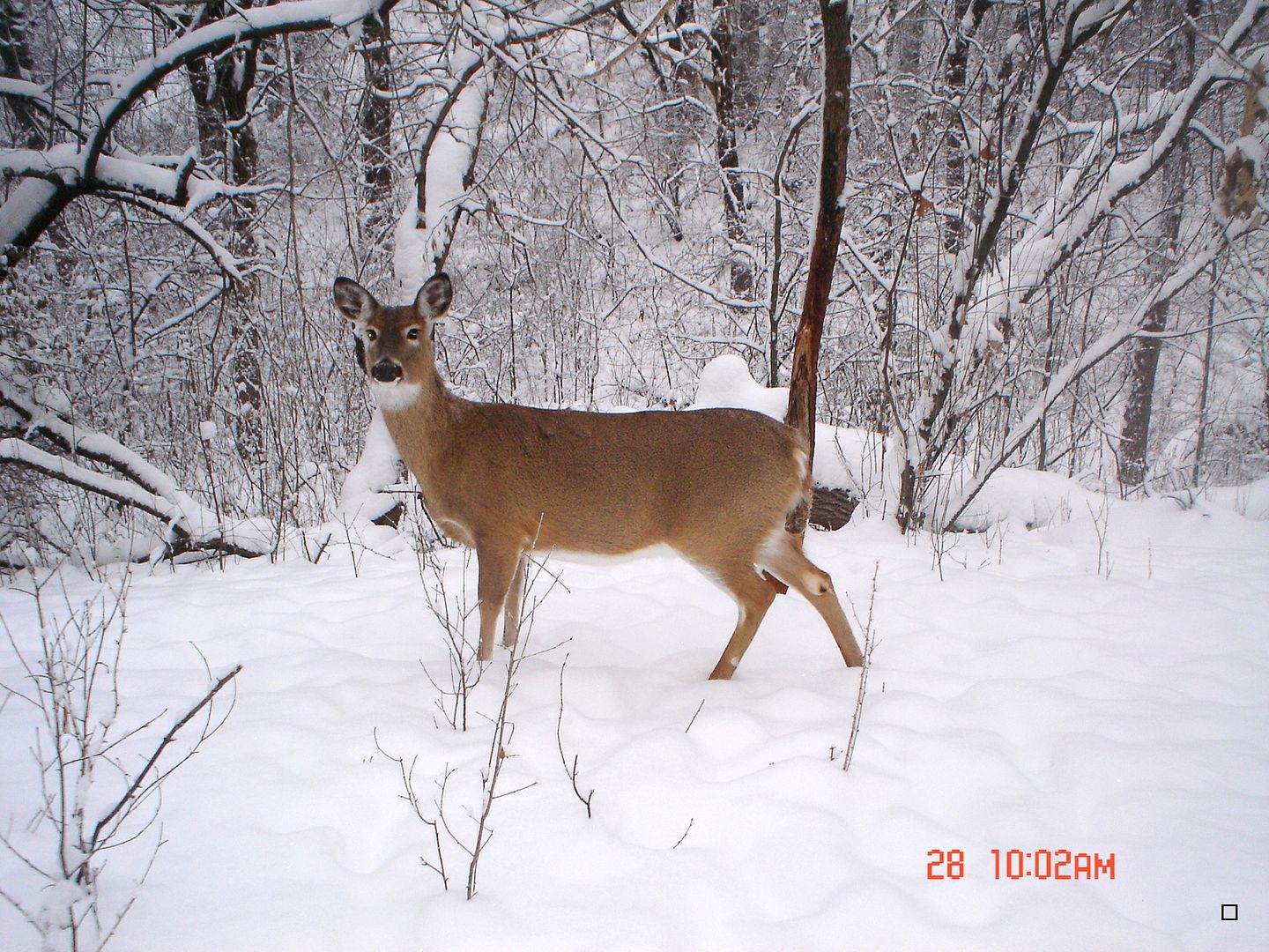 Holestand12-29-2012146.jpg