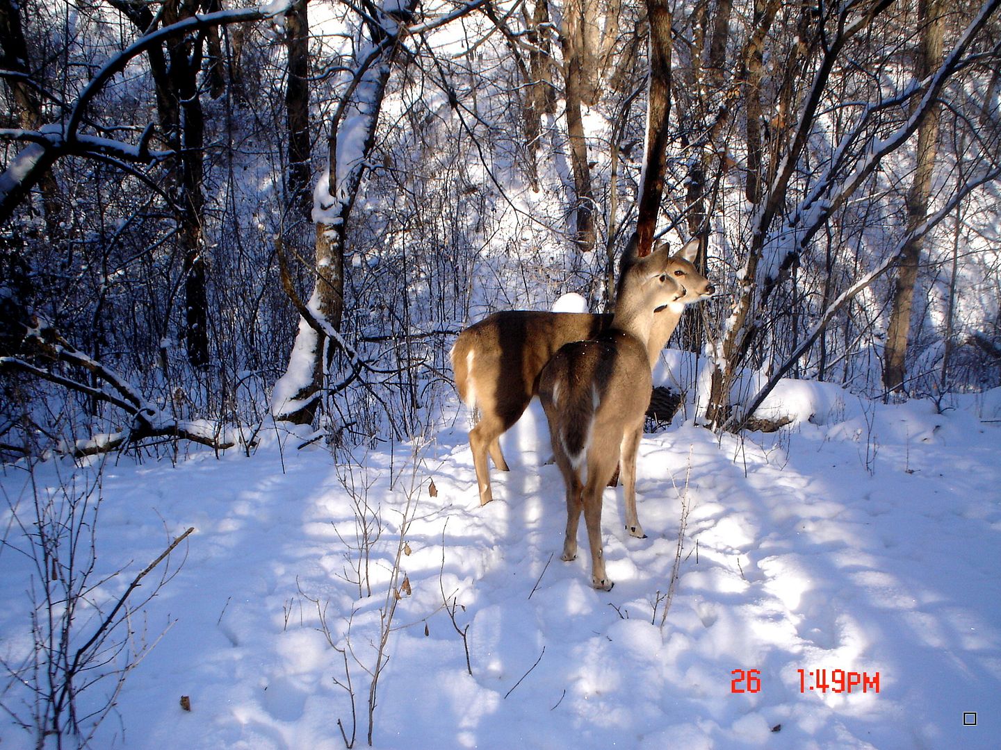 Holestand12-29-201292.jpg