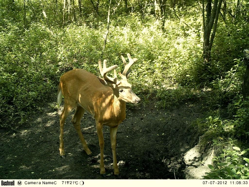 Holetrophycam07-07-20127.jpg