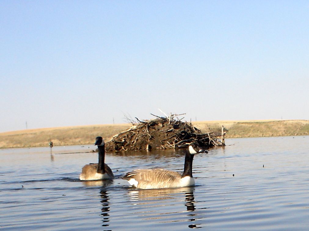 StuartsS04-07-201249.jpg