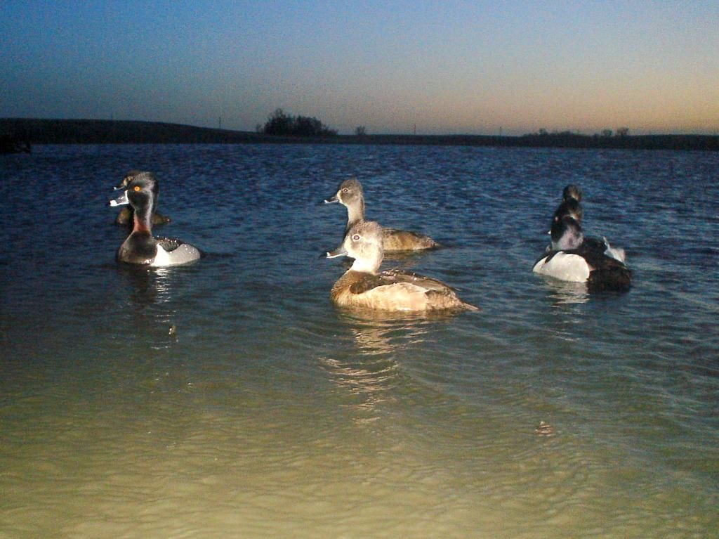 Stuartsmid03-31-20122.jpg