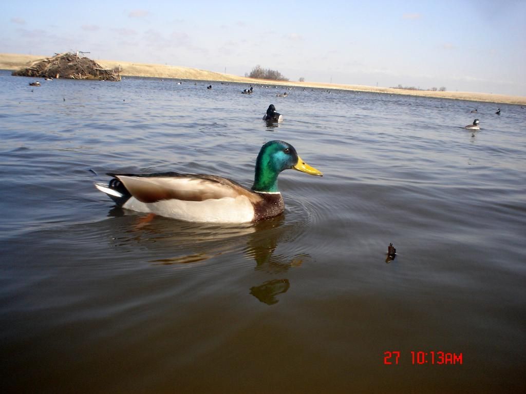 Stuartsmid03-31-201229.jpg