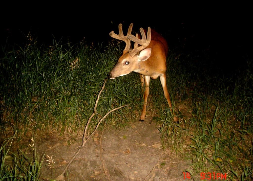 Terrys07-21-201212.jpg